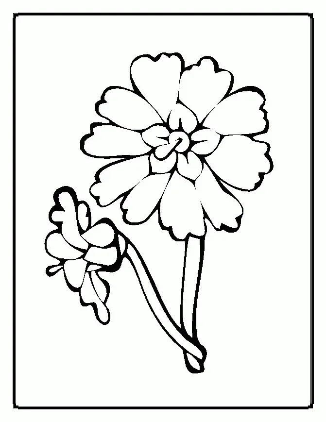 Simple Flower Coloring Pages 28