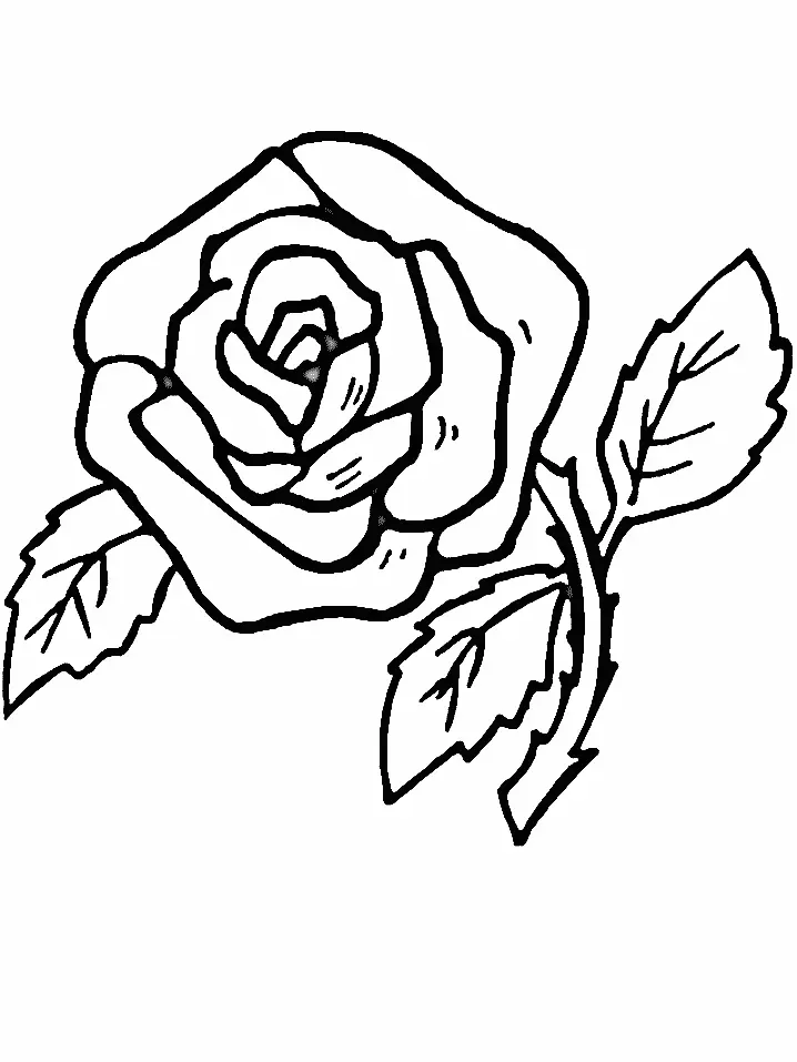 Desenhos de Flor Simples Para Colorir 31