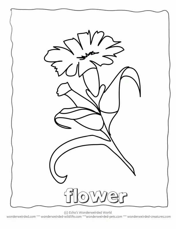 Simple Flower Coloring Pages 32