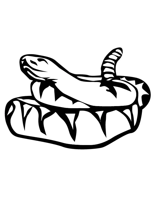 Schlangen Ausmalbilder 106