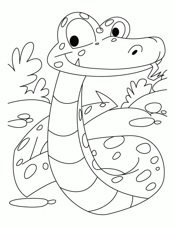 Serpiente Para Colorear