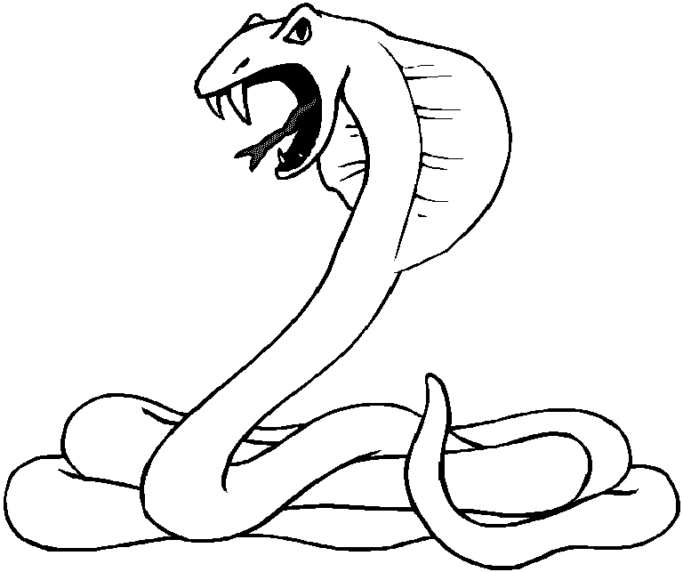 Schlangen Ausmalbilder 67