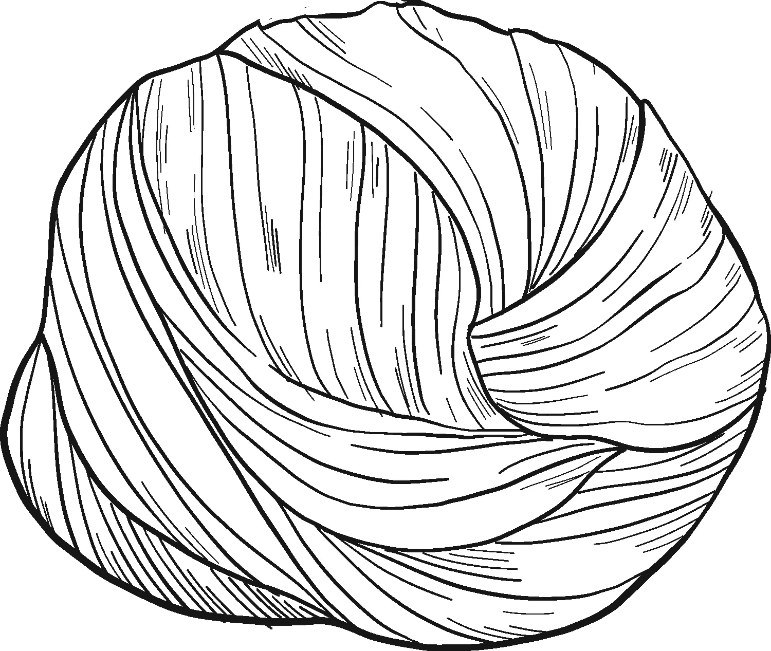 Spaghetti Ausmalbilder 4