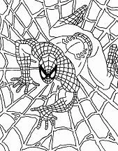 Spiderman Coloring Pages 142