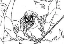 Desenhos de Spiderman Para Colorir 181