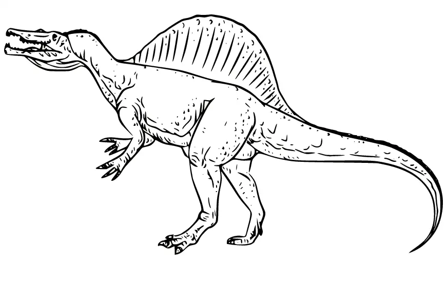 Spinosaurus Coloring Pages 6