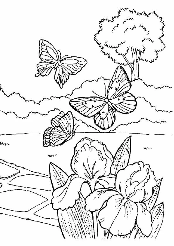 Frühling Ausmalbilder 38