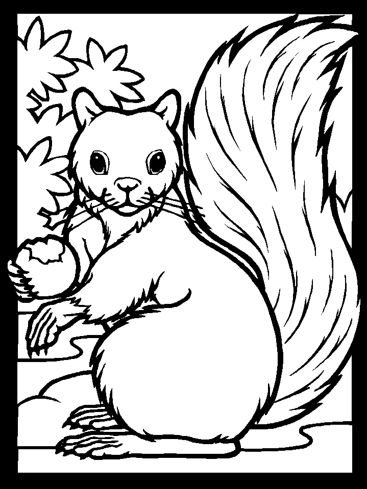 Eichhörnchen Ausmalbilder 1