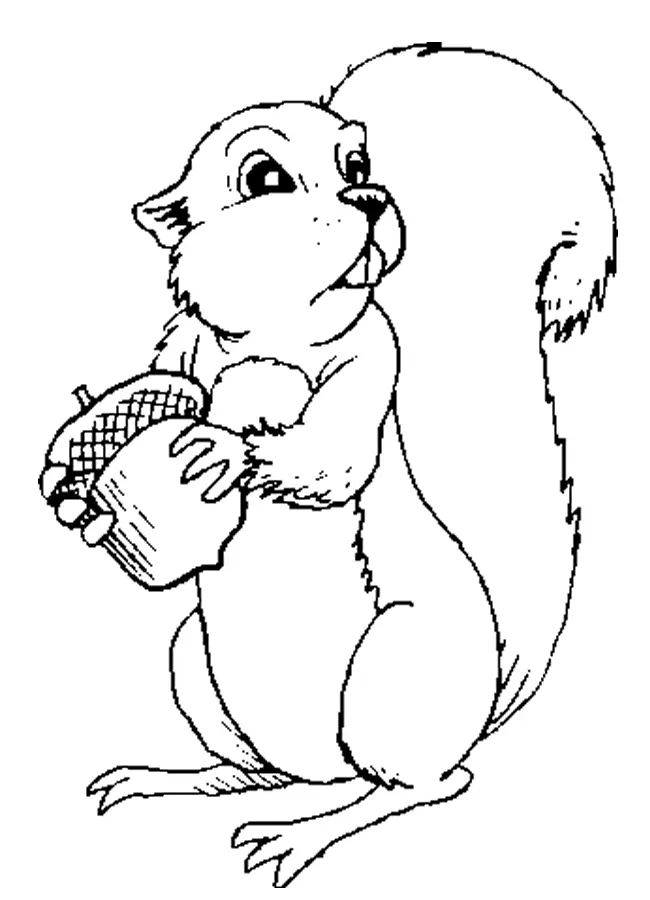 Eichhörnchen Ausmalbilder 10