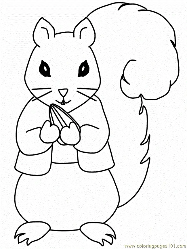 Eichhörnchen Ausmalbilder 13
