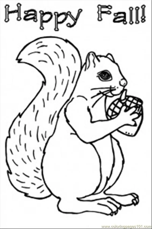 Eichhörnchen Ausmalbilder 15