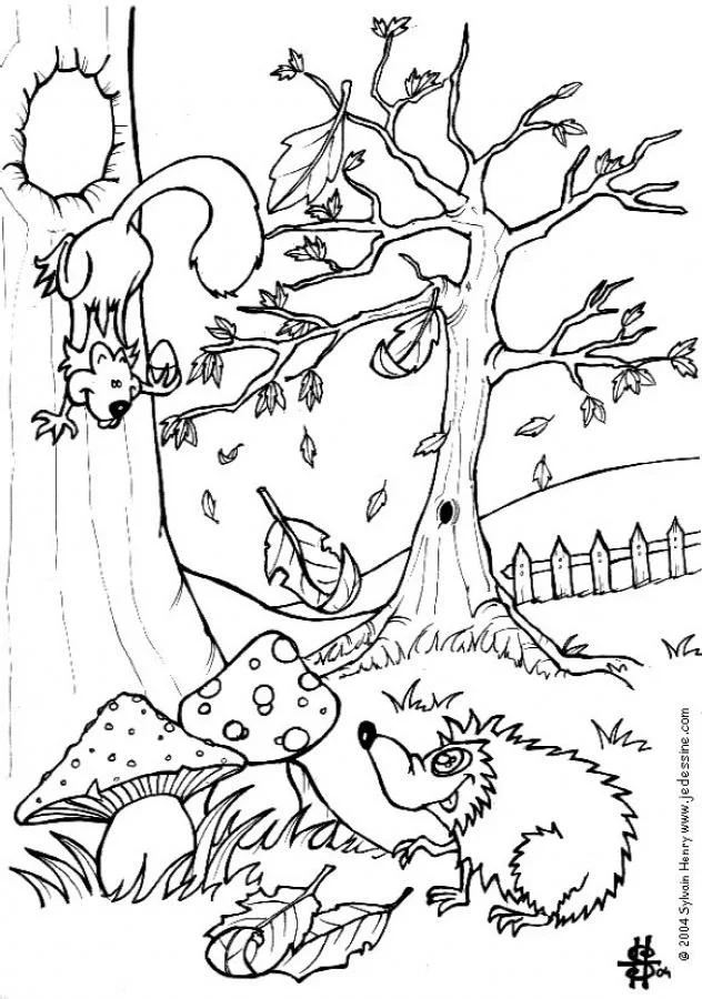 Eichhörnchen Ausmalbilder 23