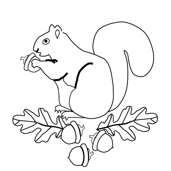 Eichhörnchen Ausmalbilder 26