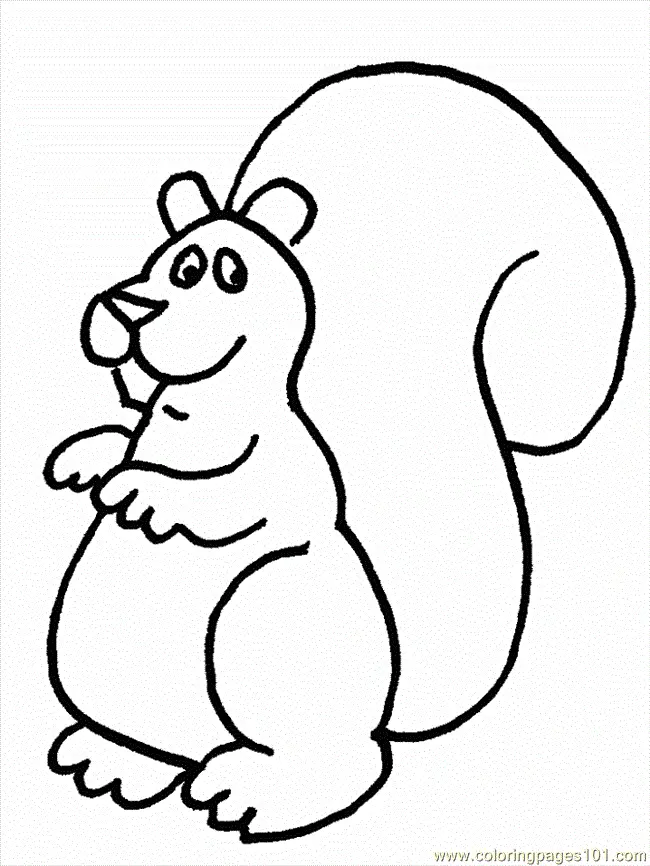 Eichhörnchen Ausmalbilder 27