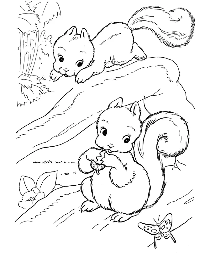 Eichhörnchen Ausmalbilder 3