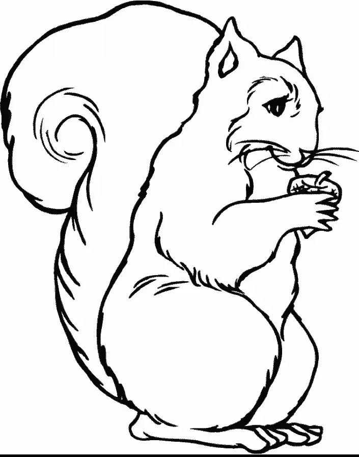 Eichhörnchen Ausmalbilder 30