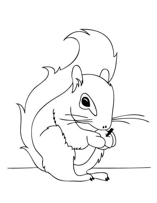 Eichhörnchen Ausmalbilder 36
