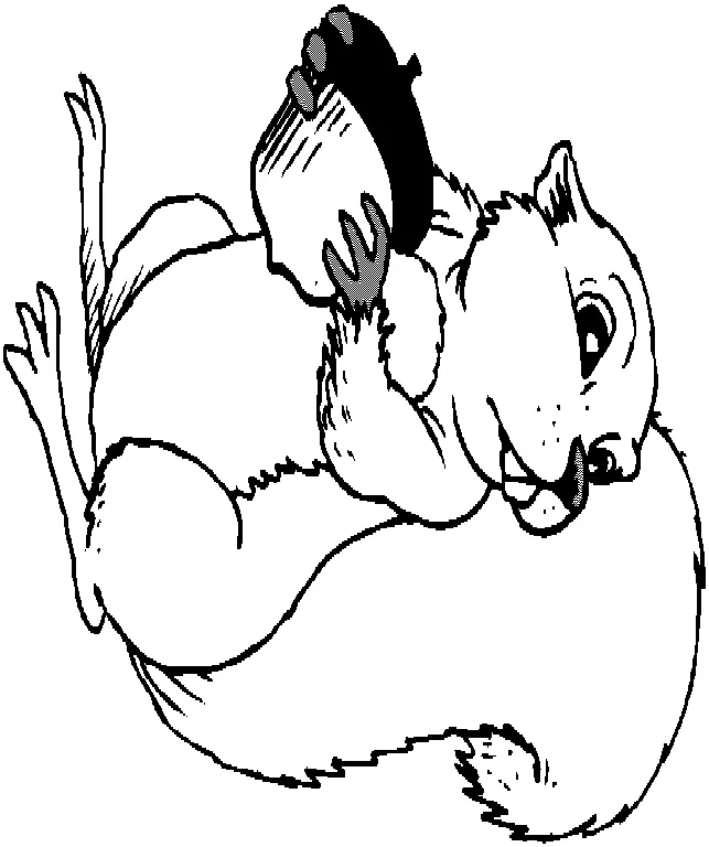 Eichhörnchen Ausmalbilder 38