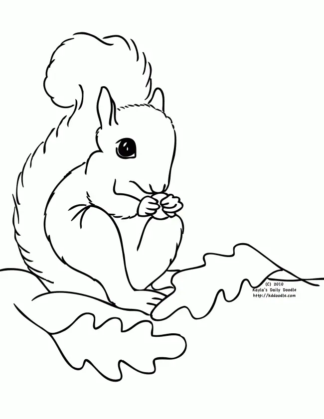Eichhörnchen Ausmalbilder 39