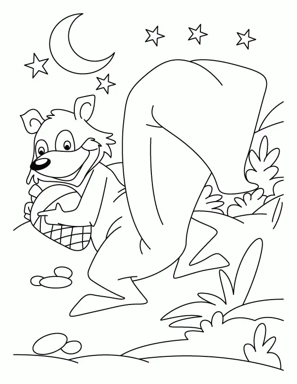 Eichhörnchen Ausmalbilder 40