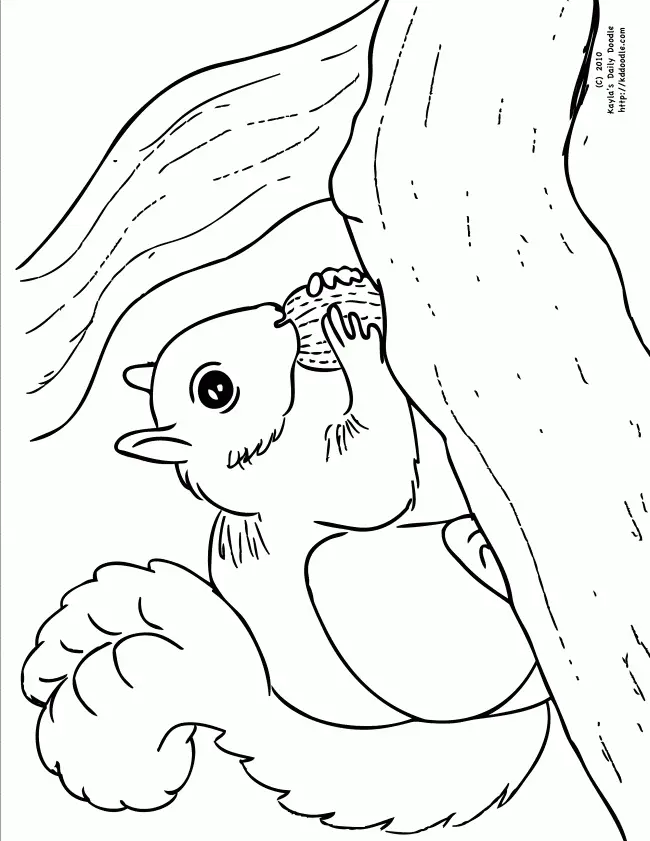 Eichhörnchen Ausmalbilder 47