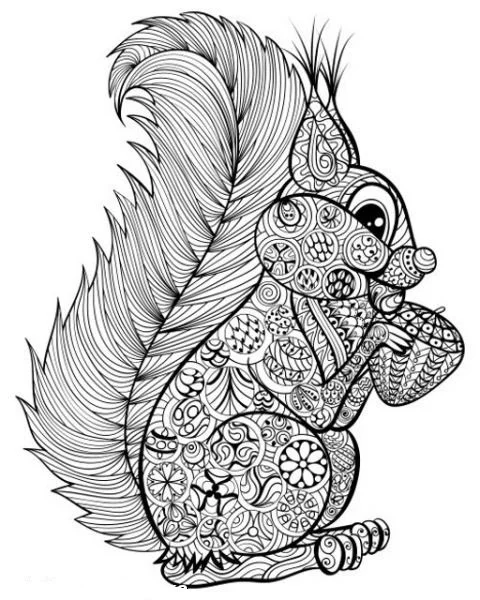 Squirrel Coloring Pages 50