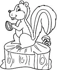 Eichhörnchen Ausmalbilder 51