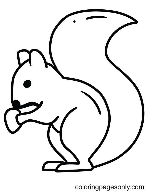 Squirrel Coloring Pages 57