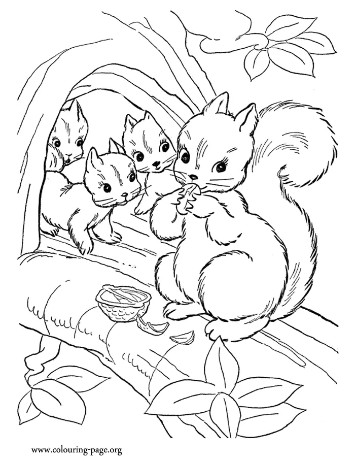 Eichhörnchen Ausmalbilder 6