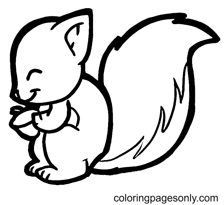Squirrel Coloring Pages 60