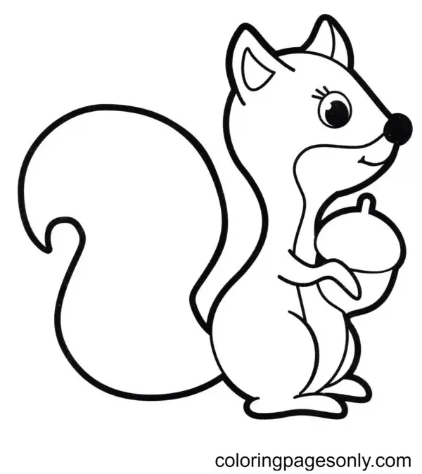 Squirrel Coloring Pages 64