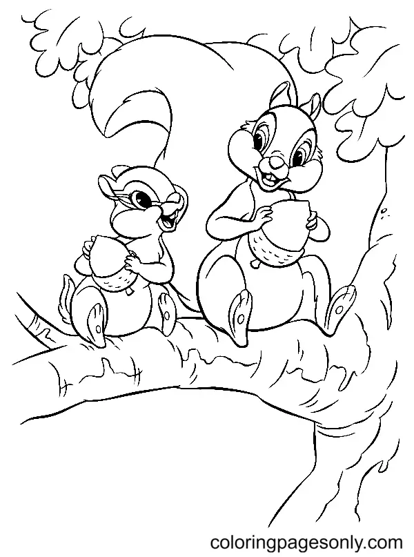 Squirrel Coloring Pages 70