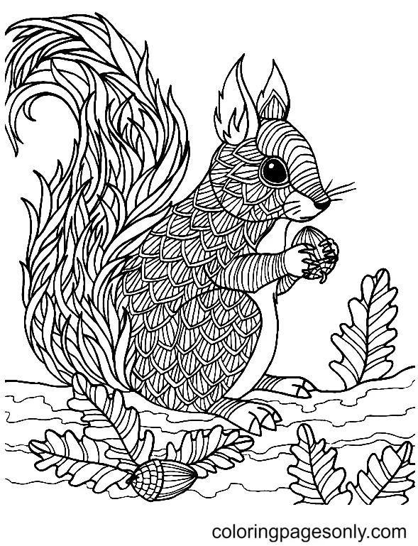 Squirrel Coloring Pages 71
