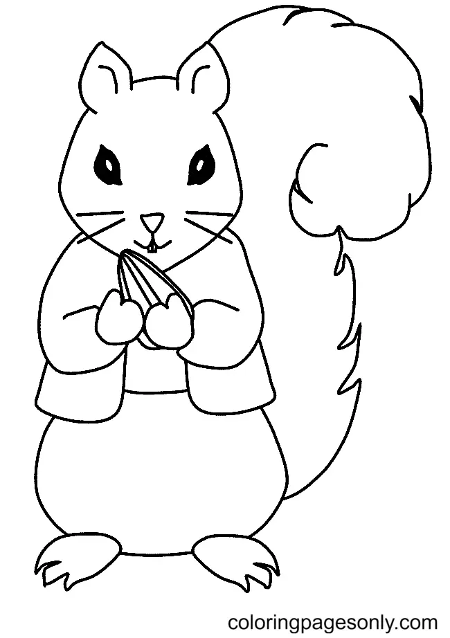 Squirrel Coloring Pages 73