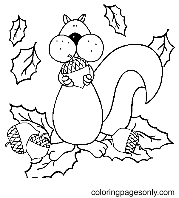 Eichhörnchen Ausmalbilder 82
