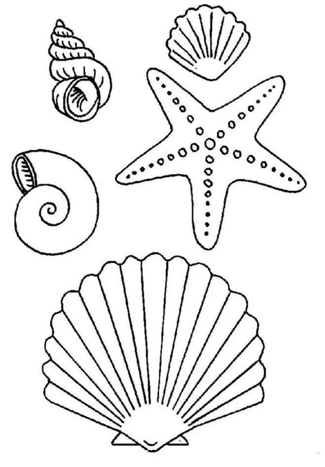 Estrellas Para Colorear 102