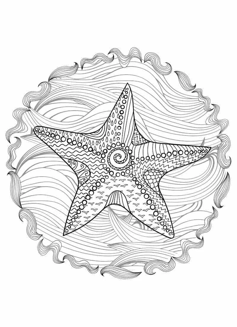 Estrellas Para Colorear 107