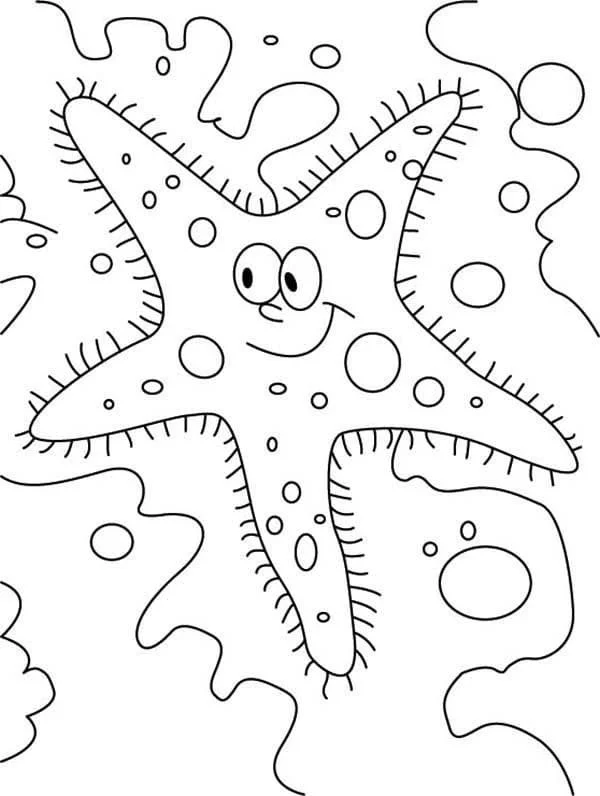 Estrellas Para Colorear 117