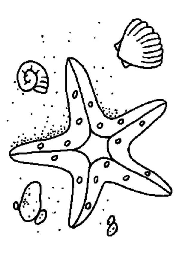 Estrellas Para Colorear 120