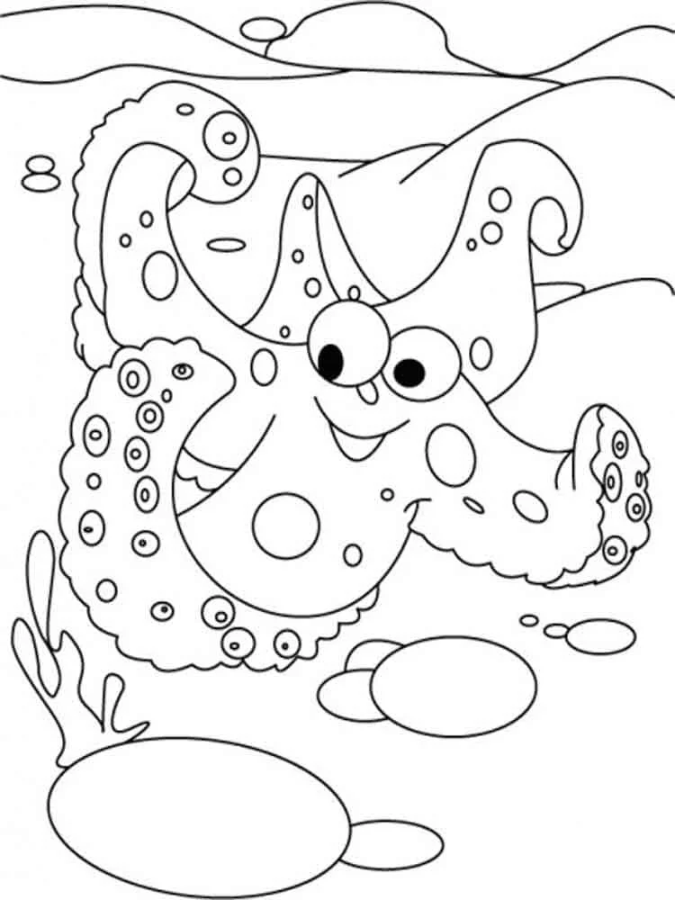 Estrellas Para Colorear 123