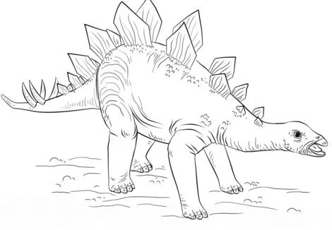 Ausmalbilder Stegosaurus 8