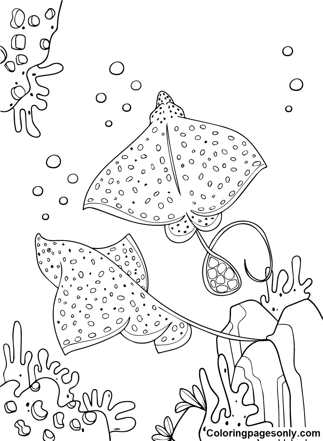 Desenhos de Arraia Para Colorir 10