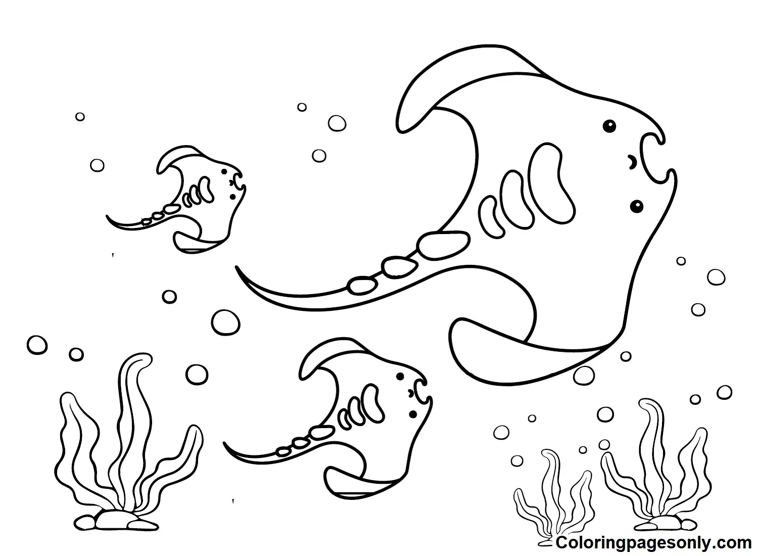 Desenhos de Arraia Para Colorir 13