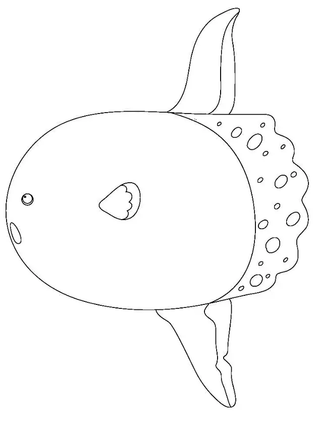 Sonnenfisch Ausmalbilder 11