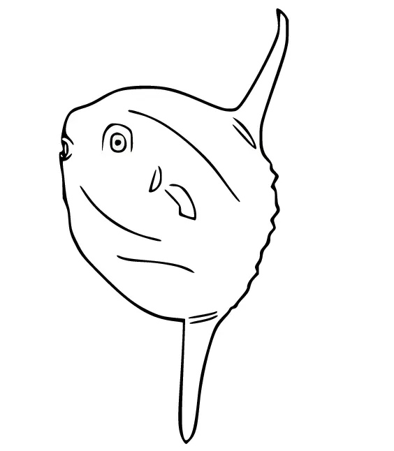 Sonnenfisch Ausmalbilder 7