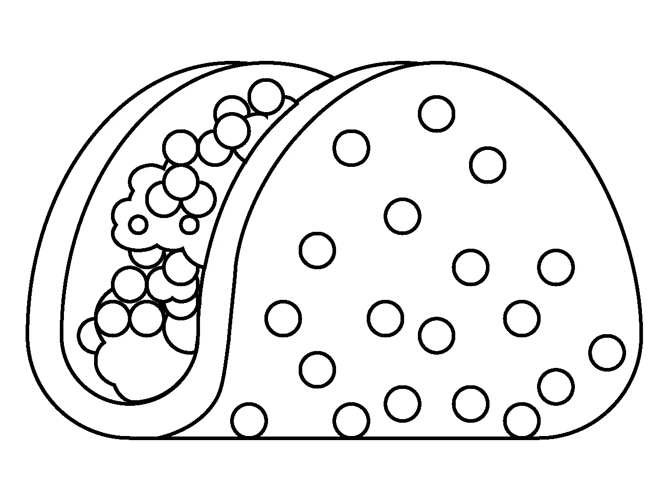 Taco para colorir 7