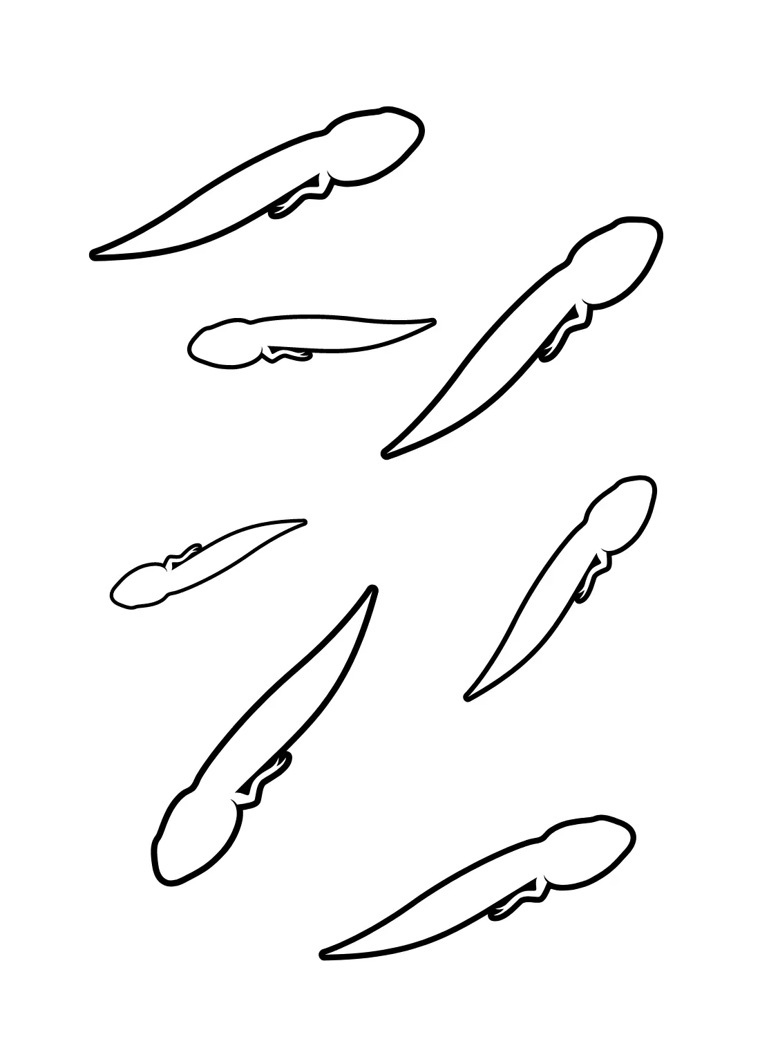 Tadpole Coloring Pages 7
