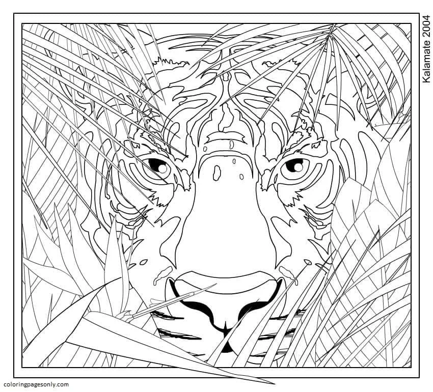 Paginas Para Colorir Adolescentes 43