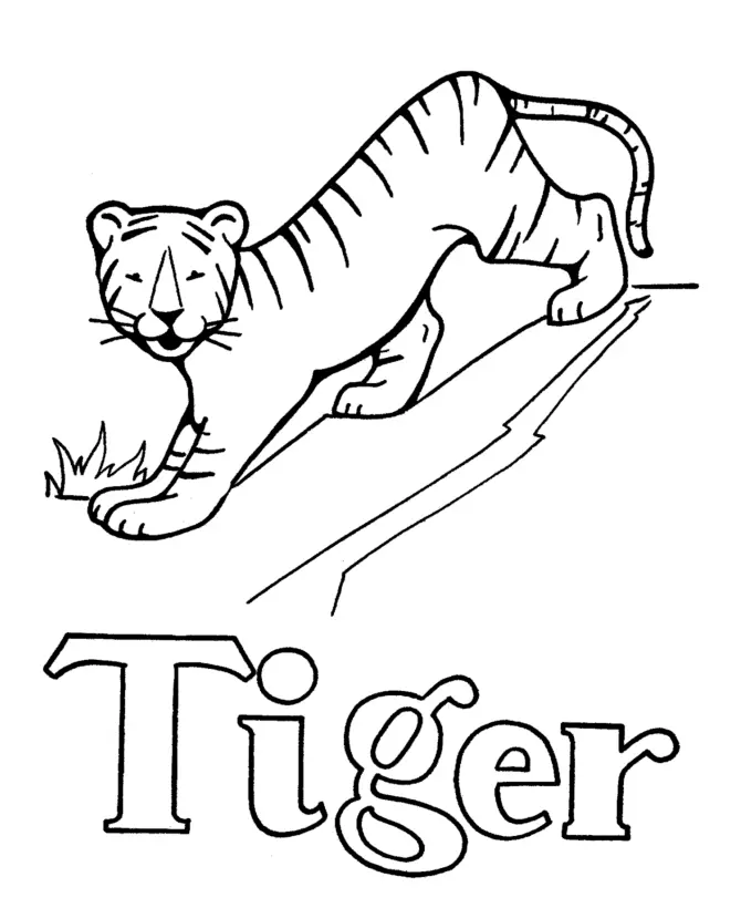 Tiger Coloring Pages 147