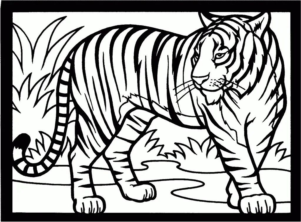 Desenhos de Tigre Para Colorir 153